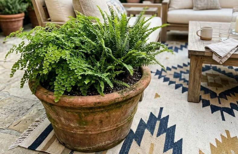 11 Easy Tips to Keep an Outdoor Rug from Blowing Away how to keep outdoor rug from blowing away
